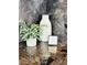 Close-up of the granite countertop with decorative plants and vase, creating an inviting atmosphere at 1370 Crystal Hill Ln # 3, Henderson, NV 89012