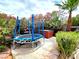 Backyard with trampoline, hot tub, and flowering bushes at 1628 Palmae Way, Las Vegas, NV 89128