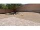 Low maintenance backyard with rock landscaping, a patio, privacy wall, and palm trees at 1777 Gentle Brook St, North Las Vegas, NV 89084