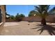 Low maintenance backyard with rock landscaping, a patio, privacy wall, and palm trees at 1777 Gentle Brook St, North Las Vegas, NV 89084