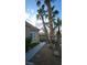 Exterior side view featuring palm trees and well-maintained landscaping at 23 Indian Run Way, Las Vegas, NV 89148