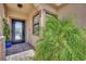 Close-up of the front door with a decorative glass insert and manicured plants at 2558 Wiltshire Ave, Henderson, NV 89052