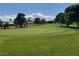 Well-manicured golf course with lush green grass and mature trees at 4833 Lawnwood Ct, Las Vegas, NV 89130