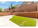 The artificial turf in the backyard and block wall provides low maintenance and privacy at 7345 Chesapeake Cove St, Las Vegas, NV 89166