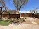 A private backyard featuring mature trees and a small grassy area at 10052 Baystone St, Las Vegas, NV 89141