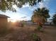 Large backyard with mature palm trees at sunset, awaiting landscaping to make it an oasis at 165 W Alma Ave, Overton, NV 89040