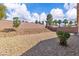 Large backyard featuring a xeriscaped landscape, mature trees, and a privacy fence at 2271 Smokey Sky Dr, Henderson, NV 89052
