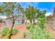 Landscaped backyard featuring low-maintenance gravel, retaining wall, trees, and a covered patio at 2522 Darda St, Henderson, NV 89044