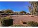 Picturesque common area with mature shade trees and picnic area provides a relaxing atmosphere at 3312 Speckle Summer Pl # 3, North Las Vegas, NV 89084