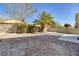 Backyard featuring gravel, concrete pads, block wall and a mature palm tree at 7836 Pinnochio Ave, Las Vegas, NV 89131