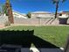 Lush backyard featuring a grassy lawn, mature palm trees, and a privacy wall at 9036 Cotton Rose Way, Las Vegas, NV 89134