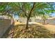 Fenced backyard with desert landscaping, trees, and a brick planter at 1312 Pacific Terrace Dr, Las Vegas, NV 89128