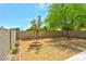 Fenced backyard with desert landscaping, trees, and a brick planter at 1312 Pacific Terrace Dr, Las Vegas, NV 89128