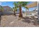 Backyard with palm trees and drought-resistant landscaping at 4323 Village Spring St, Las Vegas, NV 89147