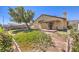 Well-maintained backyard with green grass, mature tree, and a covered patio, offering a serene outdoor space at 504 Arthur Ave, Henderson, NV 89015