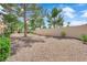Spacious backyard featuring desert landscaping, mature trees, and privacy walls at 2323 Barbers Point Pl, Las Vegas, NV 89134