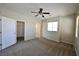Carpeted bedroom offering neutral walls, multiple windows, and a walk-in closet at 7089 Oberling Bay Ave, Las Vegas, NV 89113