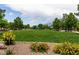 Expansive community green space featuring lush grass and well-manicured landscaping at 9712 Red Horse St, Las Vegas, NV 89143