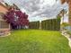 Expansive backyard featuring a lush green lawn, mature trees, and privacy hedging for outdoor enjoyment at 1515 Fort Dix Cir, North Las Vegas, NV 89031