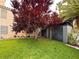 Private backyard featuring a lush lawn, mature trees, and a storage shed for outdoor activities and convenience at 1515 Fort Dix Cir, North Las Vegas, NV 89031
