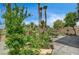 Lush backyard garden with colorful blooms and trees framing the landscape, with fountain in the background at 301 Lakewood Garden Dr, Las Vegas, NV 89148