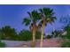 Home with scenic Las Vegas city view framed by swaying palm trees at 3412 Crystal Tower St, Las Vegas, NV 89129