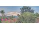 Scenic view features mountain, city, trees, flowers, and rooftop at 3412 Crystal Tower St, Las Vegas, NV 89129