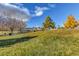 Expansive park view featuring picnic benches, open green space, and mature trees at 3618 Auckland Castle St, Las Vegas, NV 89135