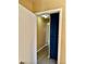 Hallway view of dark blue storage cabinet and wood-look flooring at 3729 La Junta Dr, Las Vegas, NV 89120