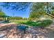 Outdoor community park featuring picnic benches, green space, and shade trees at 8717 Tom Noon Ave # 101, Las Vegas, NV 89178