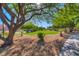 Manicured community park and landscape with walking path and shady trees at 8717 Tom Noon Ave # 101, Las Vegas, NV 89178
