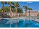 Community pool surrounded by palm trees and desert landscaping at 8717 Tom Noon Ave # 101, Las Vegas, NV 89178