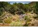 Lush backyard featuring diverse vegetation and mature trees creating a serene and natural landscape at 18480 State Hwy 160, Las Vegas, NV 89161