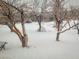 A view of a snow covered backyard featuring several bare trees and a wrought iron bench at 18480 State Hwy 160, Las Vegas, NV 89161