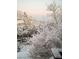 A snowy backyard landscape featuring snow covered trees with a mountain backdrop at 18480 State Hwy 160, Las Vegas, NV 89161
