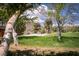 Spacious backyard featuring a sports court and ample green space surrounded by mature trees and picturesque scenery at 18480 State Hwy 160, Las Vegas, NV 89161