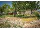 Expansive property featuring a lush lawn, mature trees, and a charming house in the background at 18480 State Hwy 160, Las Vegas, NV 89161