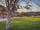 Expansive front yard featuring grazing deer, lush lawn, and mature shade trees at 18480 State Hwy 160, Las Vegas, NV 89161