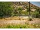 A natural landscape showcasing the property, with a partial fence, native plants and a hill in the background at 18480 State Hwy 160, Las Vegas, NV 89161