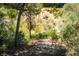 Tranquil pathway with wooden planks amidst native plants, creating a serene outdoor experience in a natural setting at 18480 State Hwy 160, Las Vegas, NV 89161