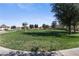 Green space with mature shade trees, picnic area, and community playground at 6313 Snap Ridge St # 201, North Las Vegas, NV 89081