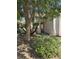 Exterior view of home showing front entry and landscaping with trees, shrubs and rocks at 79 Magical Mystery Ln, Henderson, NV 89074