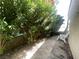 Small side yard featuring vibrant flowering shrubs at 1667 Marion Bennet Dr, Las Vegas, NV 89106