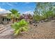 Lush backyard with palm trees, desert landscaping, and manicured areas at 2621 Icy Moon St, Henderson, NV 89044