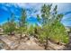 Serene backyard featuring mature pine trees, desert landscaping, and stone pathways at 2621 Icy Moon St, Henderson, NV 89044