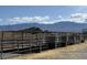 This property features a large corral with metal fencing, perfect for livestock at 4831 W Bell Vista Ave, Pahrump, NV 89060