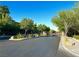 Community entrance and gate, providing security and a welcoming approach to the neighborhood at 10719 Hammett Park Ave, Las Vegas, NV 89166