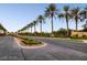 Palm tree-lined street leading to the community, showcasing the well-manicured landscaping and entrance at 4311 Fiore Bella Blvd, Las Vegas, NV 89135