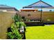 A well-kept garden bed sits along a brick wall in a bright, green backyard space at 6021 Vivanco St, North Las Vegas, NV 89081