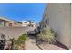View of the backyard featuring a gravel path and desert landscaping at 7331 Abundant Harvest Ave, Las Vegas, NV 89131
